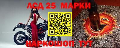 трава Сланцы