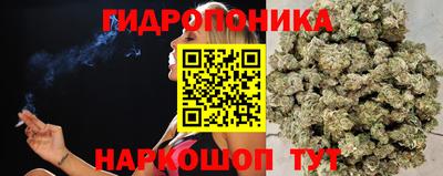 трава Сланцы